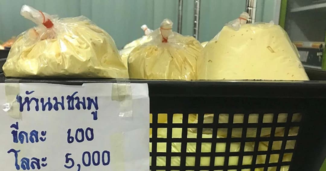 ค้นซ้ำ ! ตลาดใหม่ดอนเมือง ยึดเครื่องสำอางเถื่อนเต็มรถบรรทุก