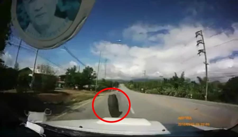 มายังไง! หนุ่มขับกระบะเจอล้อรถบรรทุกพุ่งใส่