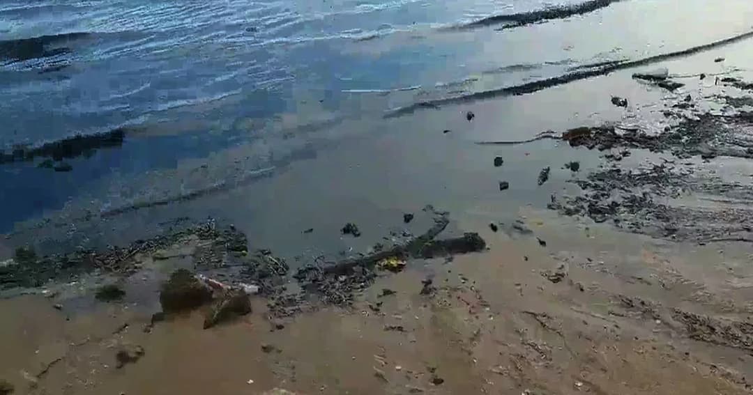 ‘ทะเลพัทยา’ เป็นสีดำ-เหม็น พบน้ำเสียถูกปล่อยลงทะเล