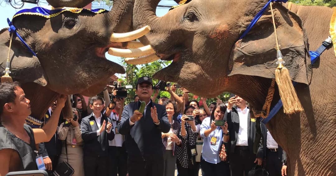 นายกฯ ตู่ อ้อนชาวสุรินทร์ อาจไม่รักเราเพราะว่าหากินยาก แต่จะทำให้ดีขึ้น