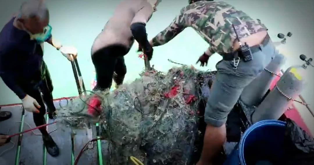 ตะลึงขยะใต้ทะเล ! พบอวนเก่าติดตามแนวปะการังจำนวนมาก