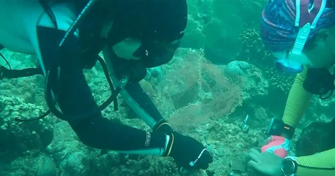 กรมทรัพยากรทางทะเลฯ ร่วมอาสาสมัคร ปลูกปะการัง