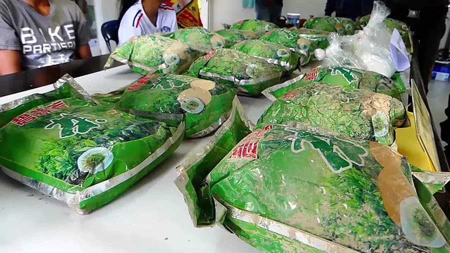 เจ้าหน้าที่รวบผู้ต้องหาค้ายาไอซ์ มูลค่ากว่า 69 ล้านบาท