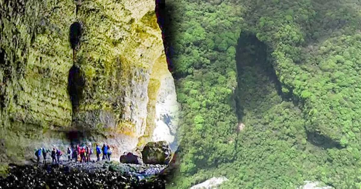 ตะลึง ! พบสัตว์-พืชพันธุ์ใหม่ หลัง 49 หลุมยุบโผล่ในจีน