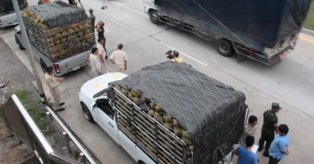 ระยอง ตั้งจุดตรวจสกัดจับทุเรียนอ่อน