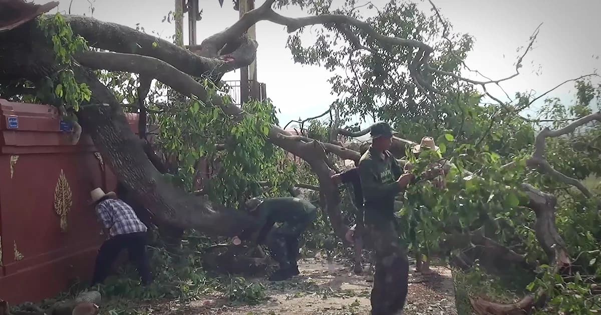 เร่งตัดต้นไม้ 100 ปี ล้มทับกำแพงวัด หลังพายุถล่มลำปาง