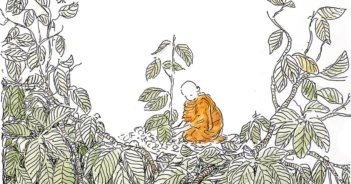 โครงการปลูกต้นไม้ ปลูกธรรมะ เปิดมิติใหม่ของการทำบุญ