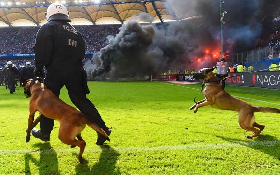 บอกลาไดโนเสาร์ตัวสุดท้ายแห่งเยอรมัน ฮัมบวร์กร่วงตกชั้นครั้งแรกในรอบ 55 ปี