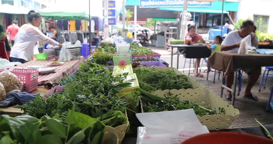 แห่เช็คอิน กินตามรอยสื่อ “นัชชนาขนมจีน 100 ผัก”