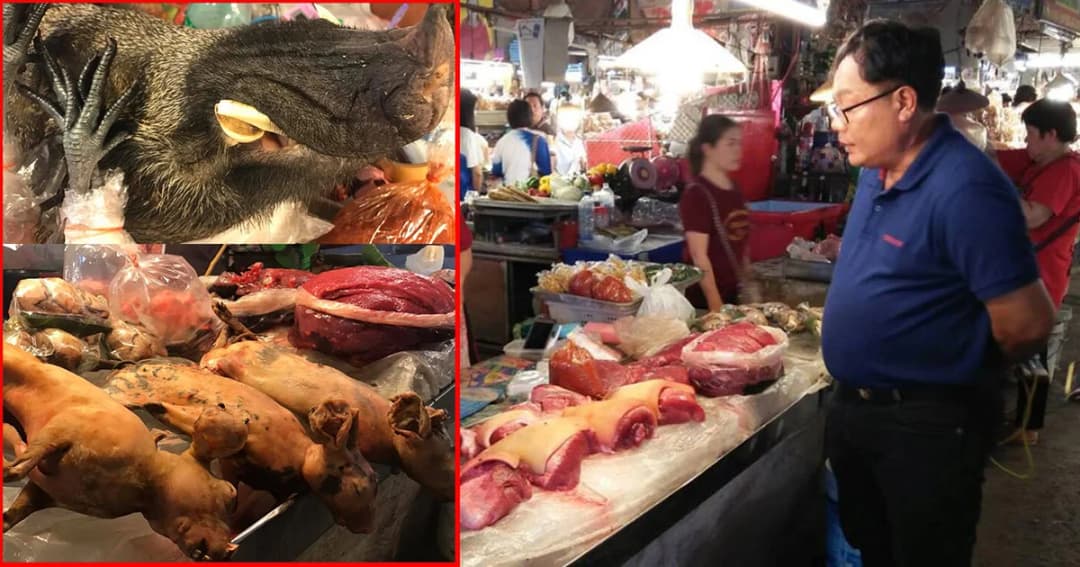 จนท.ยันไม่พบซากสัตว์ป่าผิดกฎหมาย ในตลาดจ.ลำปาง