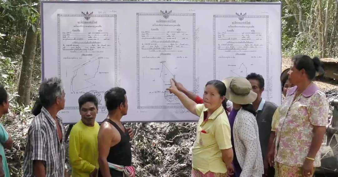 ชาวบ้านค้าน ! นายทุนรุกป่าชายเลน เมืองตรัง ชี้ทำลายธรรมชาติ