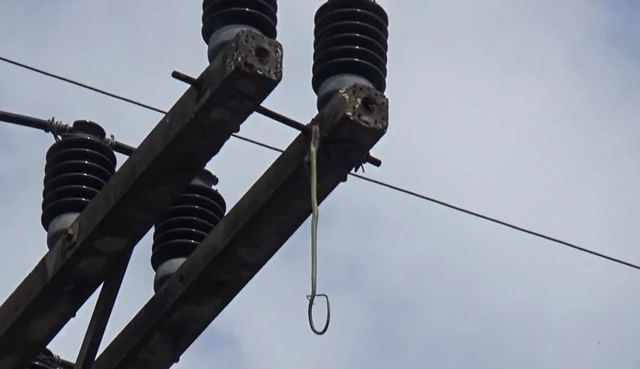 สายไฟ-โทรศัพท์ที่พิษณุโลกลุกไหม้! หลังไฟช็อตเพราะงูเลื้อยขึ้นเสาไฟฟ้า