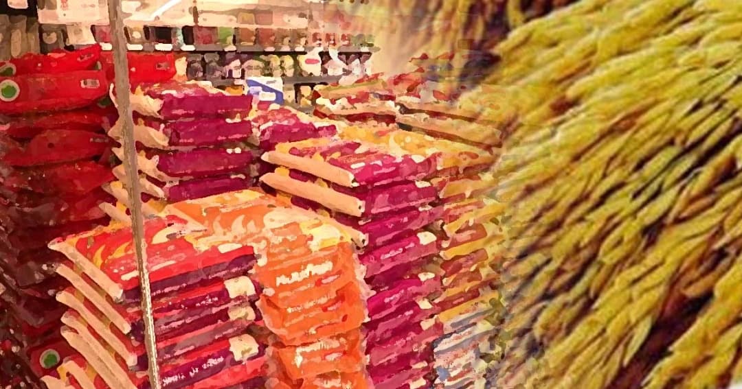 ข้าวหอมมะลิแพงเป็นประวัติการณ์! ถุง 5 กก. ถึง 300 บาทแน่นอน