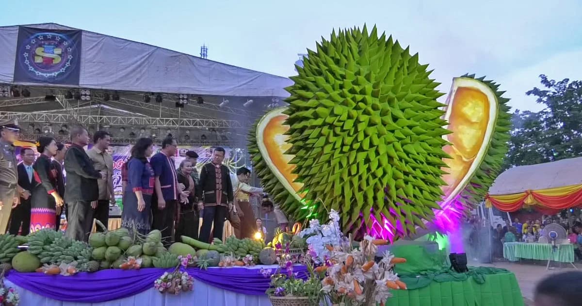 จ.ศรีสะเกษ เตือน “ทุเรียนภูเขาไฟ” อร่อยมาก มีน้อย ให้รีบไปชิม ช้าอาจหมด