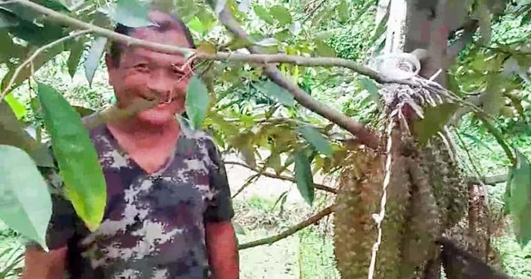 ราคาแรง ! ทุเรียนนนท์ขายเป็นลูก เริ่มต้น 5,000 – 40,000