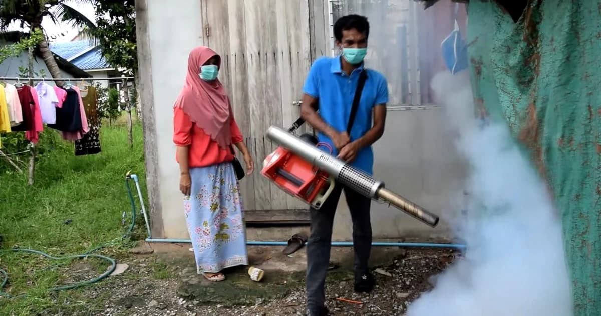 กระบี่เร่งกำจัดยุงลาย หลัง “ไข้เลือดออก” ระบาด ผู้ป่วยสูงอันดับ 1 ของประเทศ