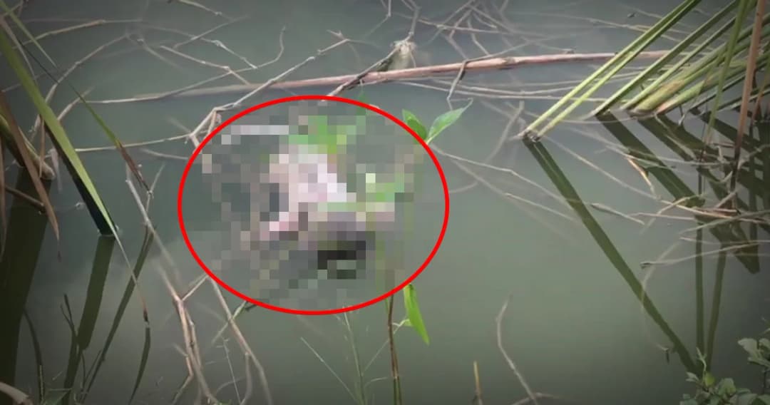 สลด! พบศพทารกชายถูกแม่ใจร้ายโยนทิ้งบ่อปลา