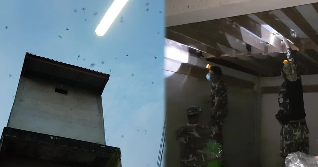 จนท. จับเจ้าของบ้านรังนกนางแอ่น หลังชาวบ้านร้องเหม็นขี้–เสียงดัง