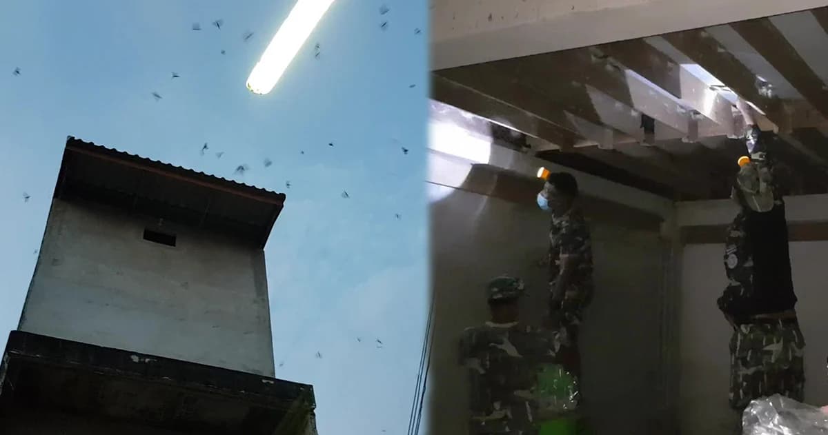 จนท. จับเจ้าของบ้านรังนกนางแอ่น หลังชาวบ้านร้องเหม็นขี้–เสียงดัง