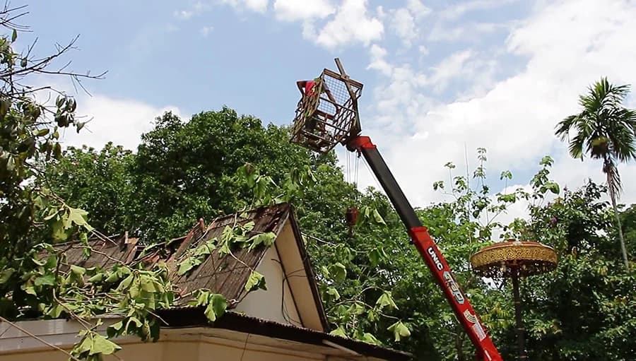 พายุฤดูร้อนพัดถล่มเชียงราย ทำให้ต้นไม้ทับกุฏิวัดหลายหลัง