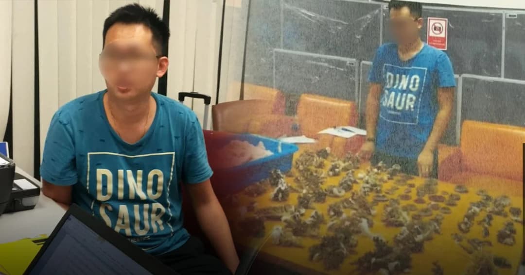 รวบหนุ่มมาเลเซียซุกปะการังแข็งกว่า 128 ท่อนเข้าไทย อ้างไม่รู้ว่าผิด