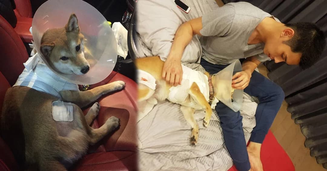 กันต์-พลอย เคลียร์คู่กรณีลงตัว โล่งใจอีกฝ่ายเตรียมย้ายสุนัขออกจากหมู่บ้าน