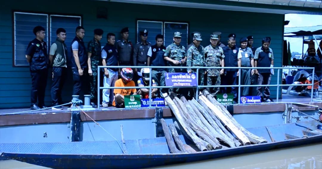 นรข. รวบ 2 หนุ่มชาวลาว ลักลอบขนไม้พะยูงข้ามโขงส่งประเทศเพื่อนบ้าน