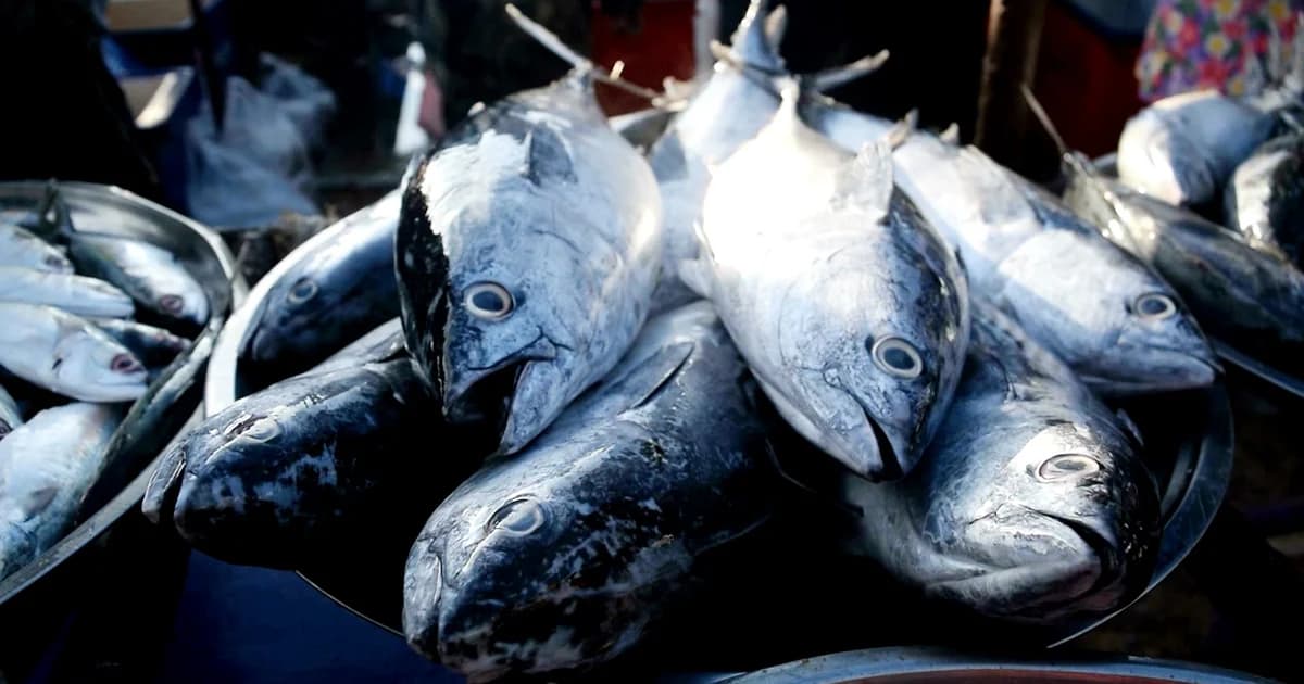 ผู้ค้าโอด ‘อาหารทะเลแพงขึ้น’ ทำลูกค้าลด เหตุต้นทุนสูง