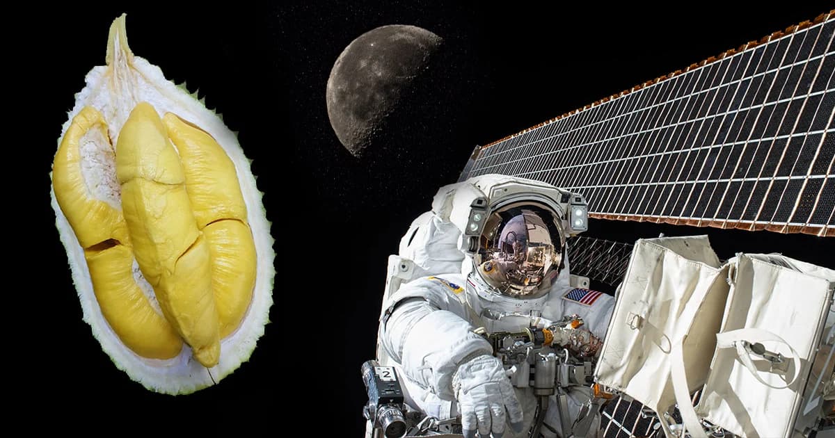 อร่อยนอกโลก! จิสด้าเตรียมส่งทุเรียนอบกรอบเป็นเมนูอวกาศ ก.ค.นี้