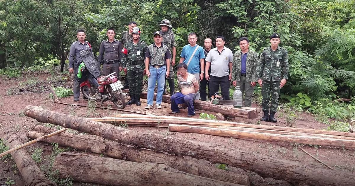 รวบคาสวน ! หนุ่มตัดไม้สักเถื่อน พร้อมแปรรูป ยึดกว่า 5 ท่อน