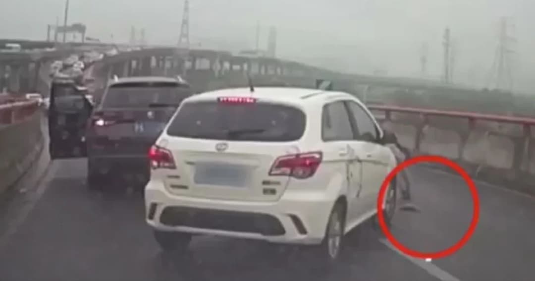 หญิงจีนหยุดรถบนทางด่วนช่วยลูกแมว โลกออนไลน์ถกเดือดเหมาะสมหรือไม่