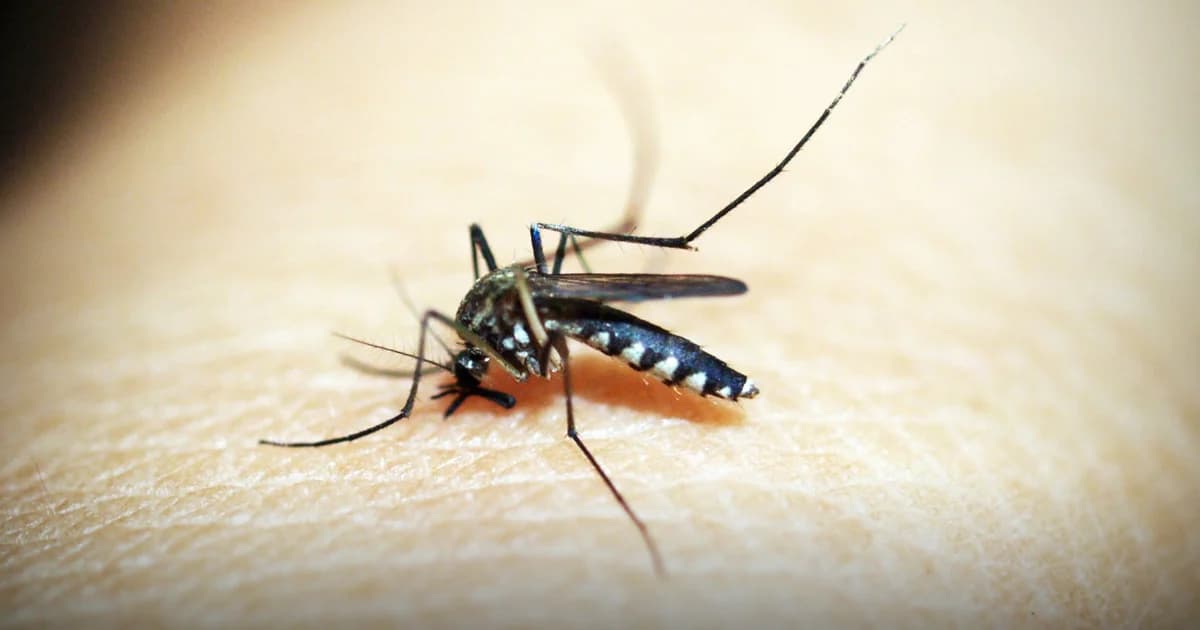 ระวัง ! ไข้เลือดออกระบาดหนัก เสียชีวิตแล้ว 16 ราย