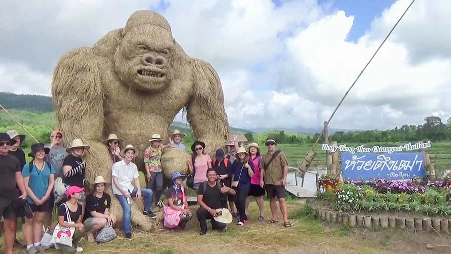 หุ่นฟางยักษ์สง่างามกลางทุ่งข้าว เทศกาลหุ่นฟางต้องดังไปทั่วโลก