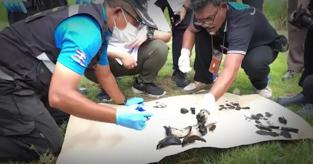 ฆาตกรรมเหี้ยม สาวใหญ่สงขลาถูกเผานั่งยาง หลังหายไป 10 วัน