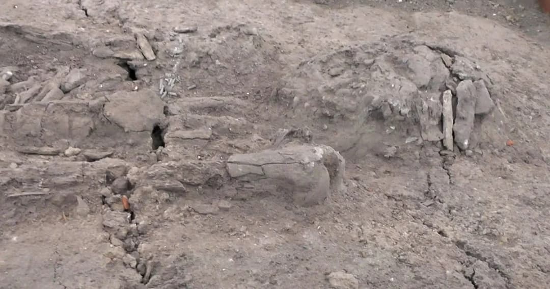 ราชบุรีเตรียมเปิดแหล่งท่องเที่ยวเชิงประวัติศาสตร์ หลังพบโครงกระดูกอายุราว 2,000 ปี