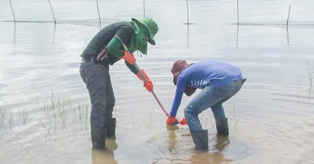 ทีมวิจัยลงเขื่อนอุบลรัตน์ เก็บตัวอย่างน้ำ-ดิน หาสาเหตุโรคผิวหนัง