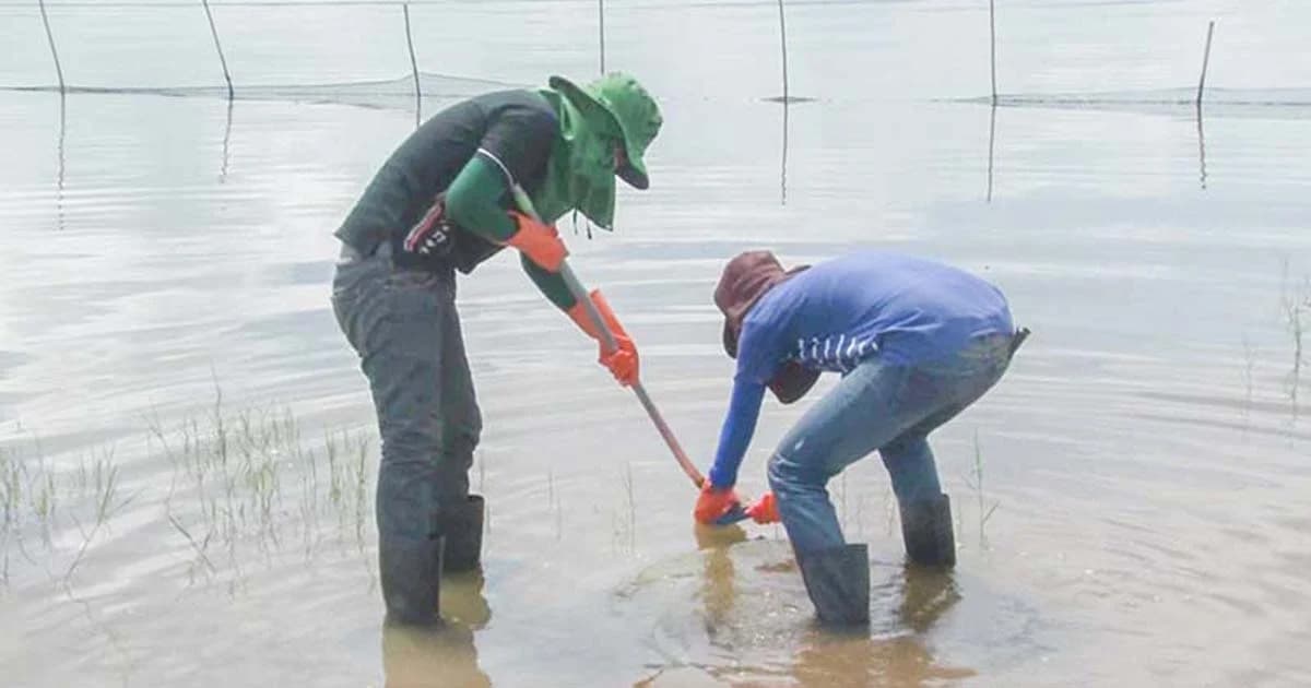 ทีมวิจัยลงเขื่อนอุบลรัตน์ เก็บตัวอย่างน้ำ-ดิน หาสาเหตุโรคผิวหนัง