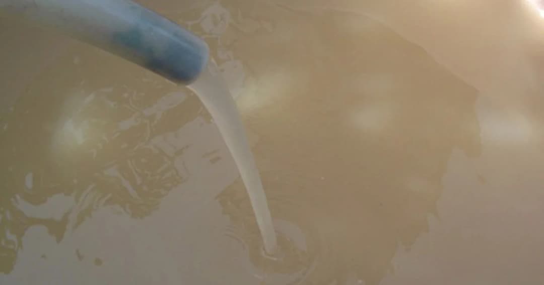 ชาวพัทลุงกว่า 200 คน วอนหน่วยงานทำตามรับปาก ทนใช้น้ำประปาโคลนมาครึ่งปีแล้ว