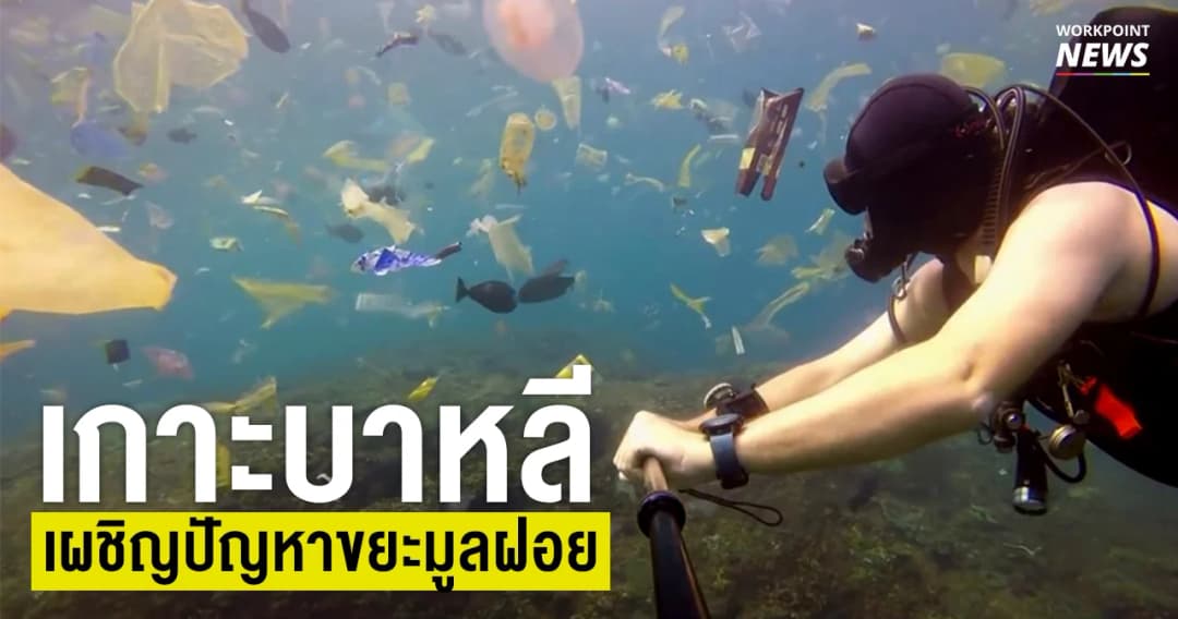 เกาะบาหลี เผชิญปัญหาขยะมูลฝอย