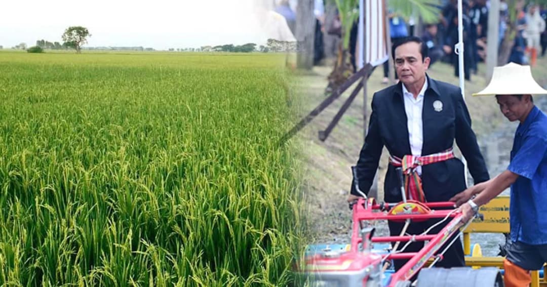 นายกฯ ส่งสาร “วันข้าวและชาวนาแห่งชาติ” ดันไทยประเทศมั่นคงทางอาหารโลก