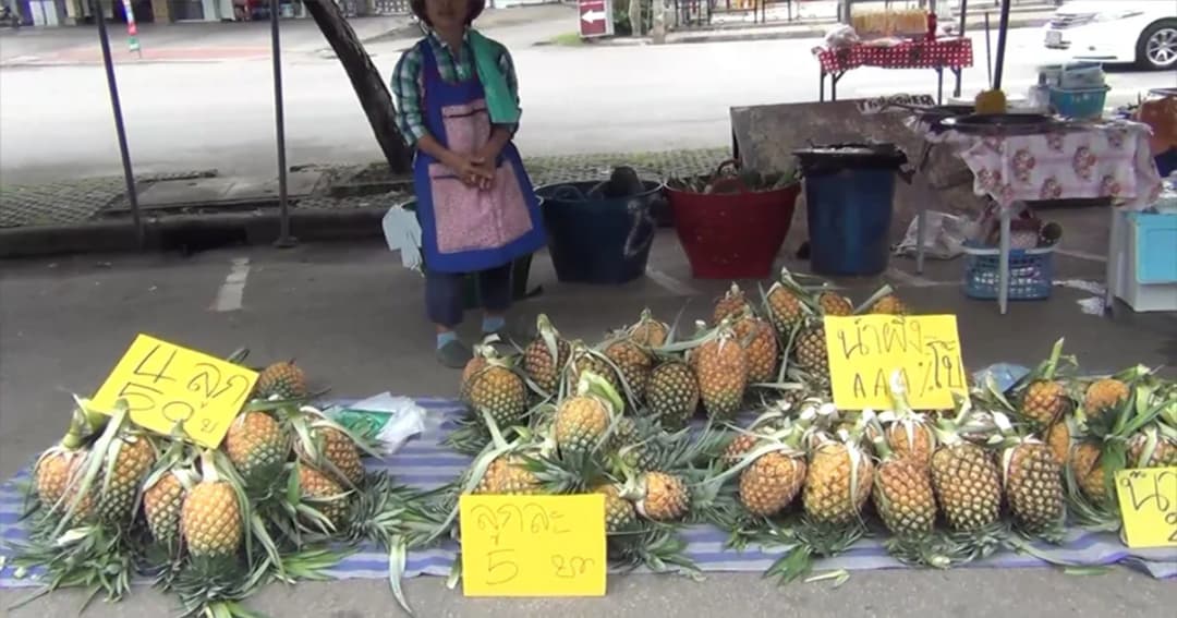 ชาวสวนโอด ! ราคาสับปะรดตกต่ำ ยอมขาดทุนนำออกมาวางขายริมถนน