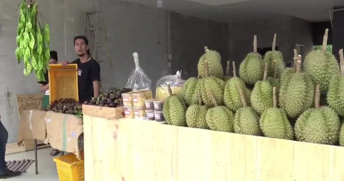 เร่งตามโจรขโมยทุเรียน เจ้าของบอก เอามาคืนเดี๋ยวปอกสุกๆ ให้กิน
