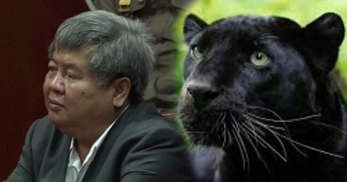 ติง “เปรมชัย” ขอโอนคดีฆ่าเสือดำ ไปศาลฯ ทุจริตภาค 7