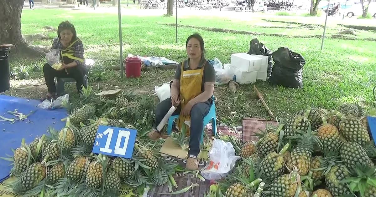 วิกฤต ! สับปะรดราคาตก ชาวสวนตระเวนขาย โลละ 2 บาท