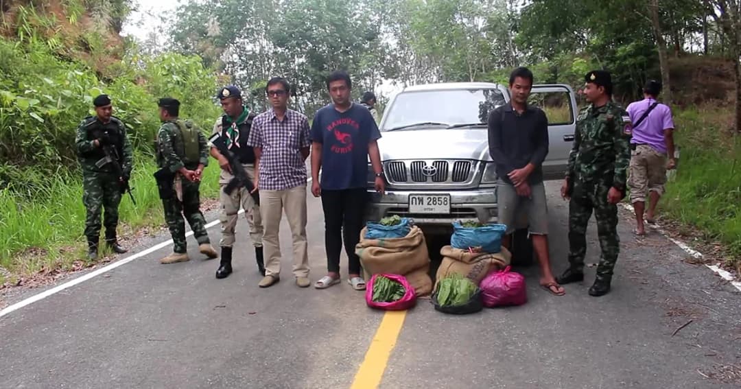 ทหารจับใบกระท่อม เลียบชายแดนไทย-มาเลเซีย
