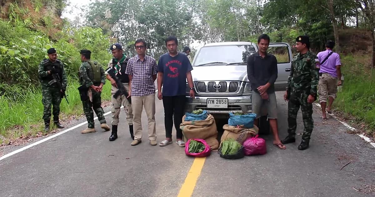 ทหารจับใบกระท่อม เลียบชายแดนไทย-มาเลเซีย