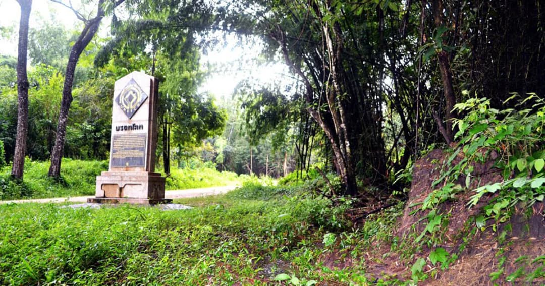 ครม.ไม่ให้ขยายถนนห้วยขาแข้ง-อุ้งผาง หวั่นกระทบสัตว์ป่า