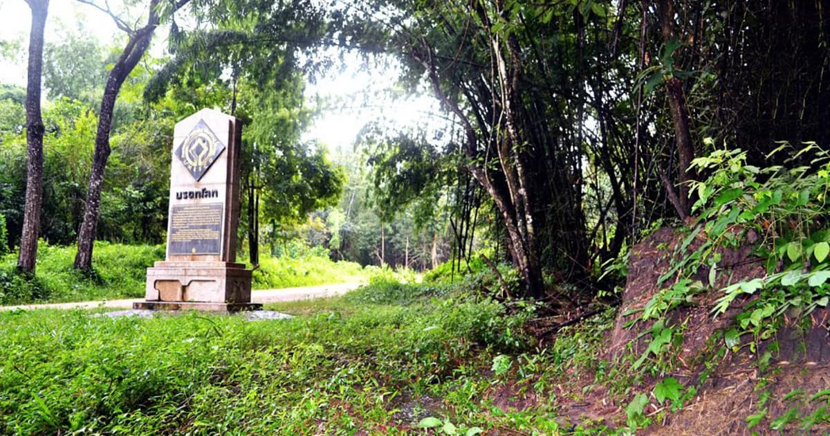 ครม.ไม่ให้ขยายถนนห้วยขาแข้ง-อุ้งผาง หวั่นกระทบสัตว์ป่า