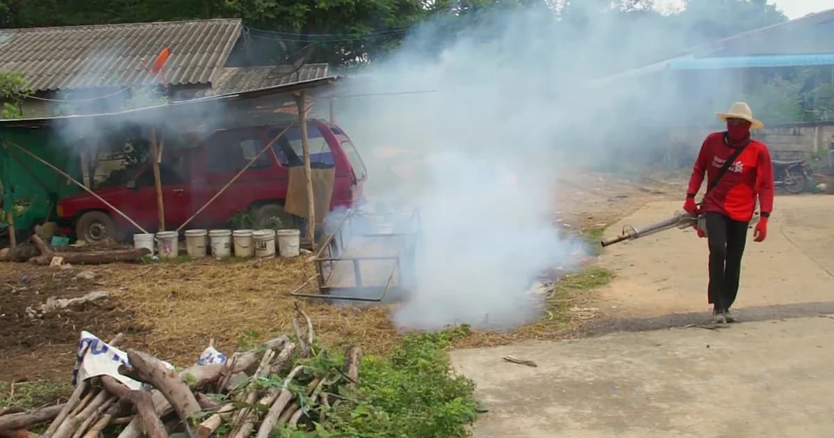 กำจัดวงจรยุงลาย ! หลังไข้เลือดออกระบาด โคราชป่วยกว่า 200 ราย