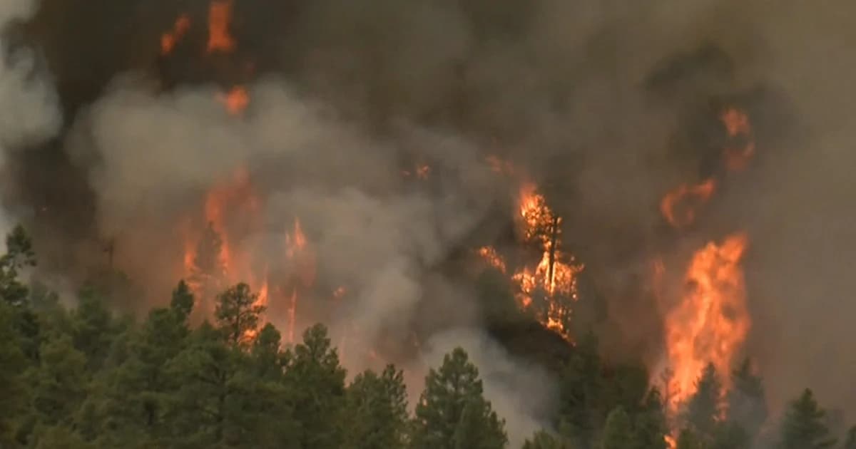 ไฟป่าในสหรัฐฯ ลามหนัก กว่า 2,000 ครัวเรือนเร่งอพยพ